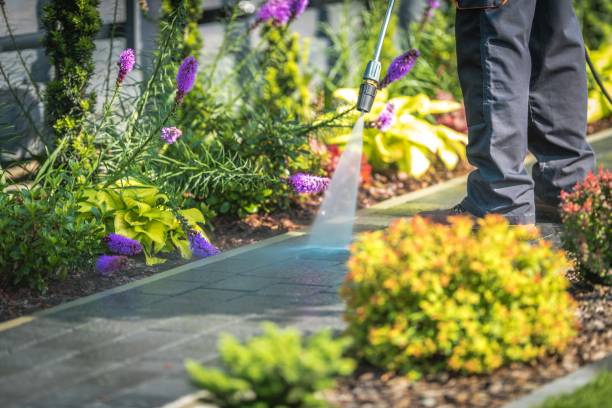 Best Gutter Cleaning  in Horseheads North, NY